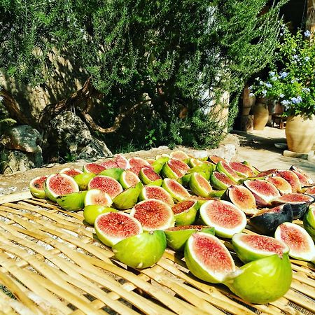 Masseria Borgo Del Gallo トリカーゼ エクステリア 写真