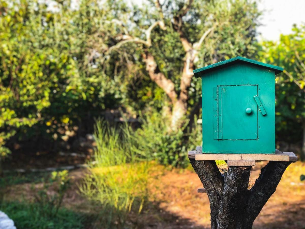 Masseria Borgo Del Gallo トリカーゼ エクステリア 写真